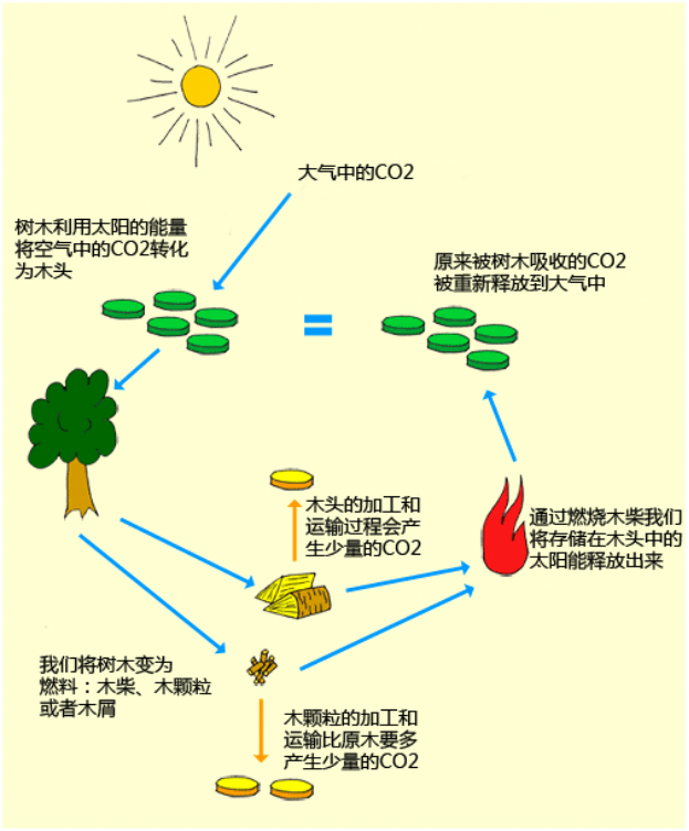 木柴燃料的CO2周期.png